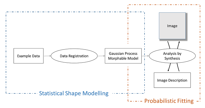 Probabilistic Morhpable Models
